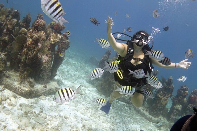 PADI Discover Scuba Diving for divers without certification - Small details that can shape the day
