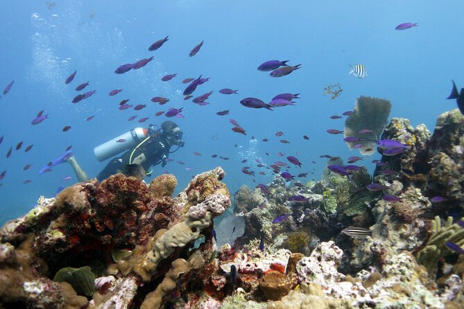 PADI Open Water Diver Course - Weather, fitness, and the parts you cannot control