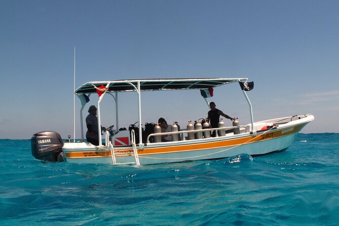 PADI Open Water Diving Certification Course Activity - What the certification lets you do