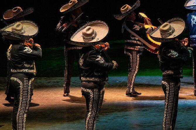 Park Xcaret Plus with Transportation from Cancun and Riviera Maya - Why Xcaret works as a full-day outing