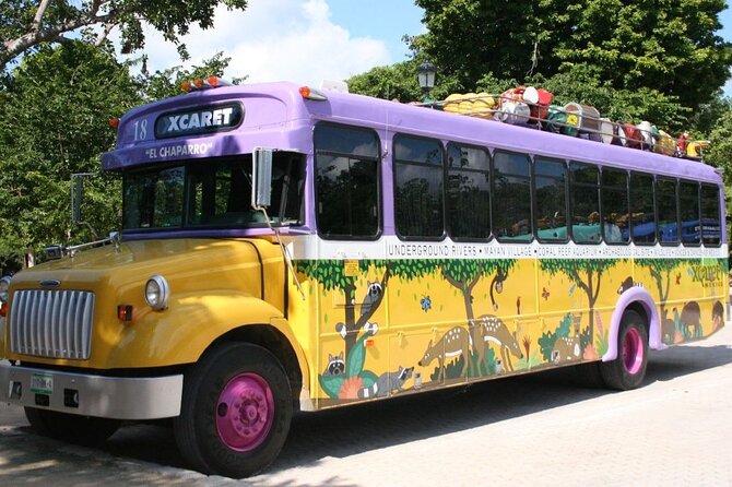 Park Xcaret Plus with Transportation from Cancun and Riviera Maya - Swimming through the underground rivers