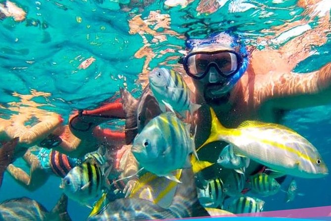 Party On Sailing Cruise to Isla Mujeres from Cancun - Lunch and two hours at the beach club