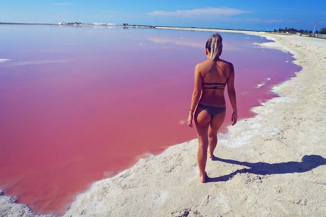 Pink Lake and Flamingo Sightseeing in Rio Lagartos - Who should book this day trip?