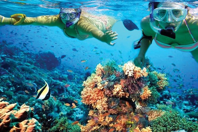 Plus Experience Isla Mujeres Tour - Unlimited drinks, but read the lunch details