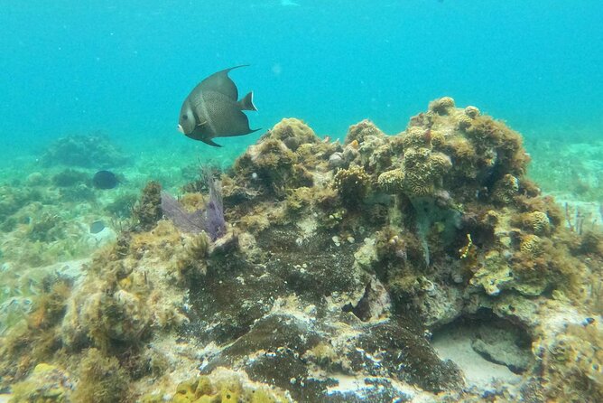 Premium Isla Mujeres Tour by Private Catamaran - Comfort, weather, and who should book