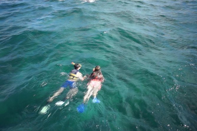 Private Catamaran Experience from Cancun to Isla Mujeres! - Leaving from Playa Tortugas