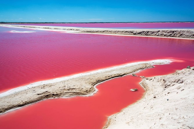 Private Chichen Itza, Cenote Ik Kil, Rio Lagartos & Las Coloradas - Four Yucatan highlights packed into one day