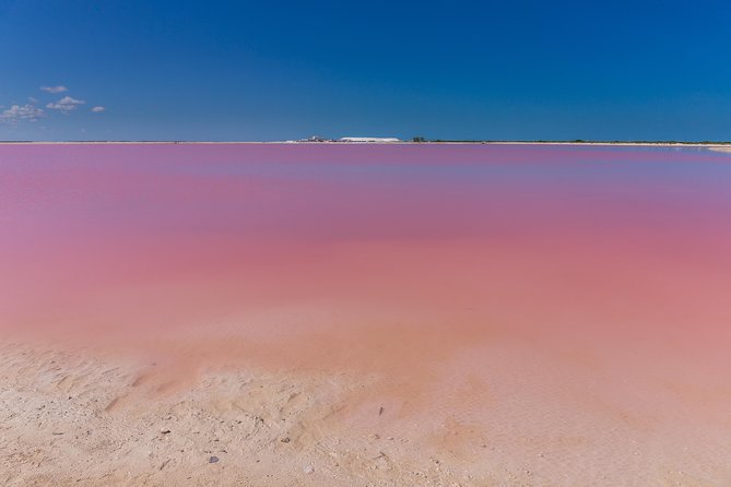 Private Chichen Itza, Cenote Ik Kil, Rio Lagartos & Las Coloradas - Chichen Itza before the crowds and heat