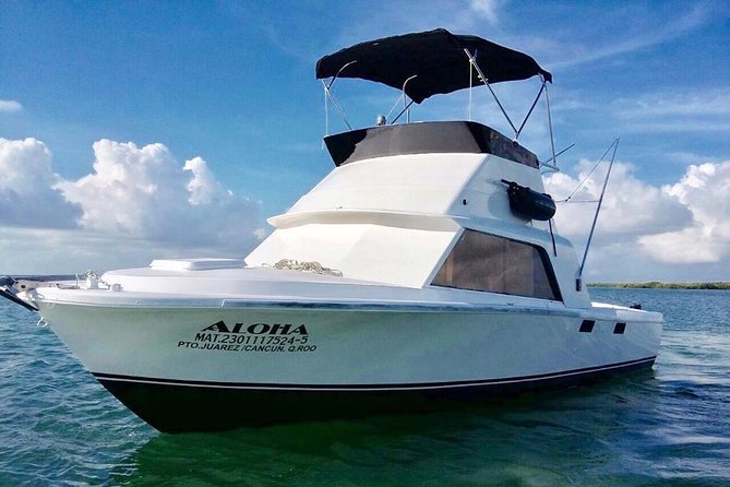 Private fishing charter Bertram 31ft 6 pax max if you don't fish you don't pay - Choosing between two hours and a full offshore trip