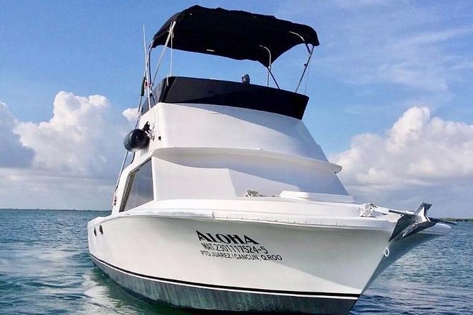 Private fishing charter Bertram 31ft 6 pax max if you don't fish you don't pay - Fish you might target near Isla Mujeres