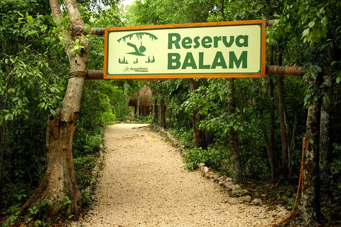 Private Jungle Adventure tour: Zipline + Rappel + Cenote - Rappelling into the cenote