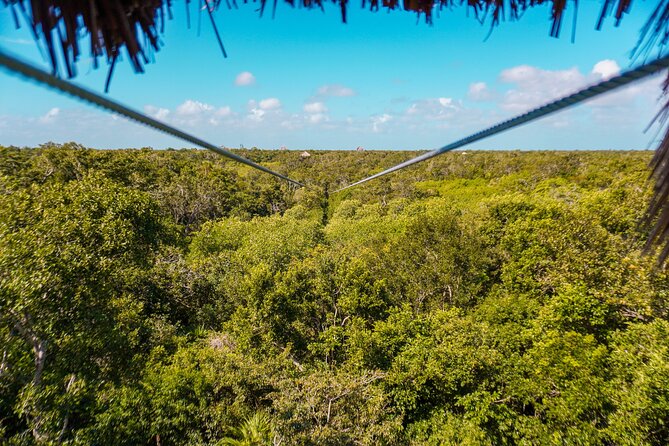 Private Jungle Adventure tour: Zipline + Rappel + Cenote - The guide and the feel of a private outing