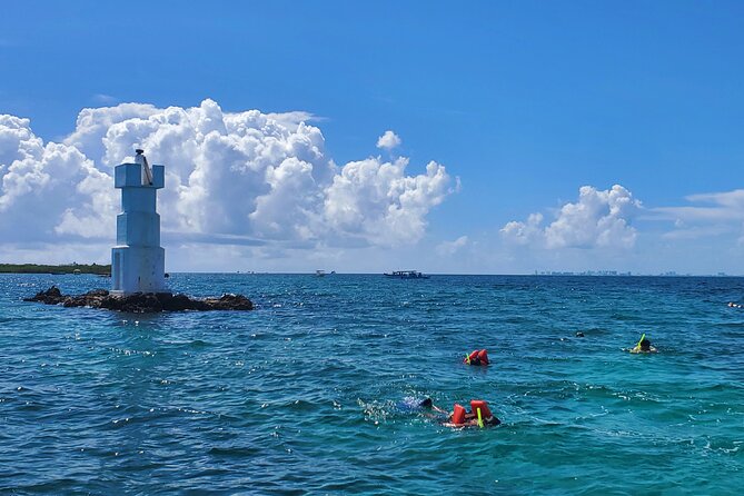 Private MUSA Snorkeling Experience at Isla Mujeres and Cancun - MUSA, where art meets the reef