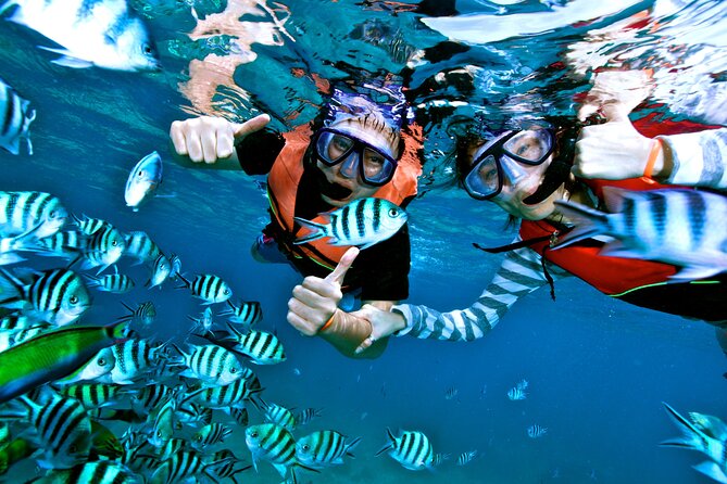 Private MUSA Snorkeling Experience at Isla Mujeres and Cancun - Drinks and the relaxed end of the trip