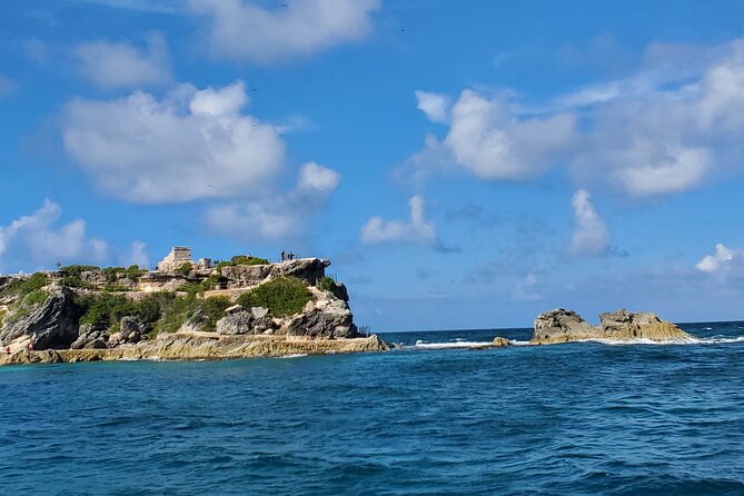 Private MUSA Snorkeling Experience at Isla Mujeres and Cancun - Is $550 a fair price?