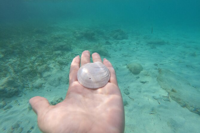 Private MUSA Snorkeling Experience at Isla Mujeres and Cancun - Who should book this Isla Mujeres snorkeling trip?