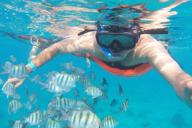 Private MUSA Snorkeling Experience at Isla Mujeres and Cancun - A private boat changes the pace