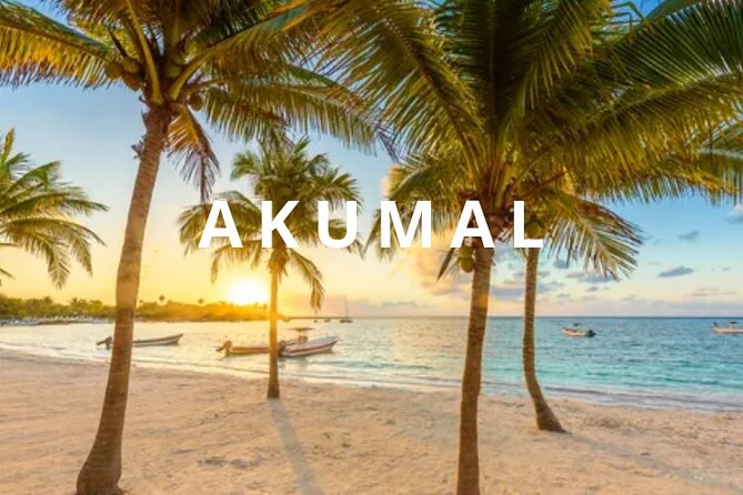 Private one-way airport transfer from Cancun - Akumal. - Key points to know before booking