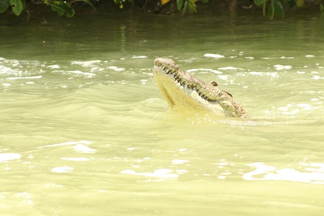 Private Rio Lagartos Flamingo and pink lakes - A private tour changes the value calculation