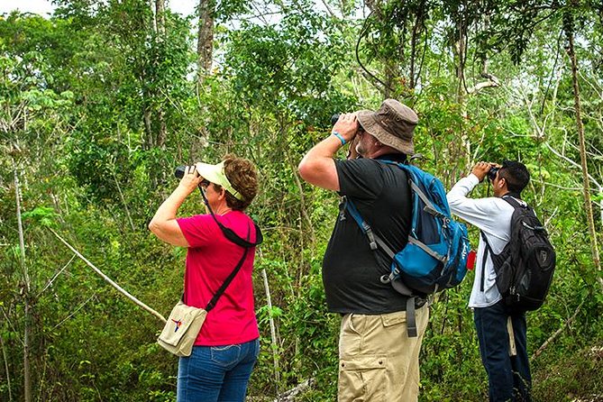 Private Tour: Birdwatching from Cancun - The first stops near Puerto Morelos