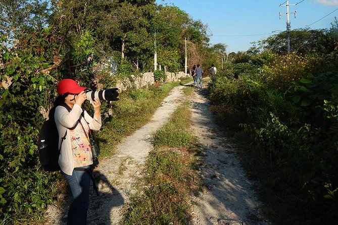 Private Tour: Birdwatching from Cancun - What you may see, and how the sightings work