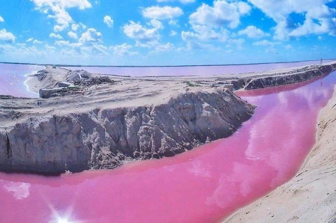 Private Tour: Ek Balam, Pink Flamingos Sanctuary and Tequila Tasting Factory - Las Coloradas, Salt, and Pink Flamingos