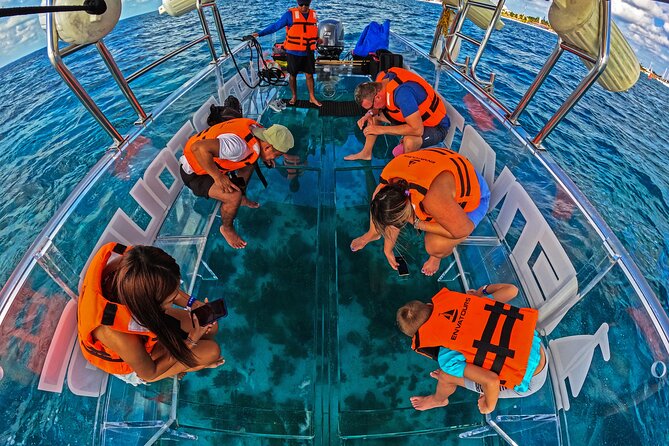 Private Tour Isla Mujeres excursion in Transparent Boat - How much reef information should you expect?