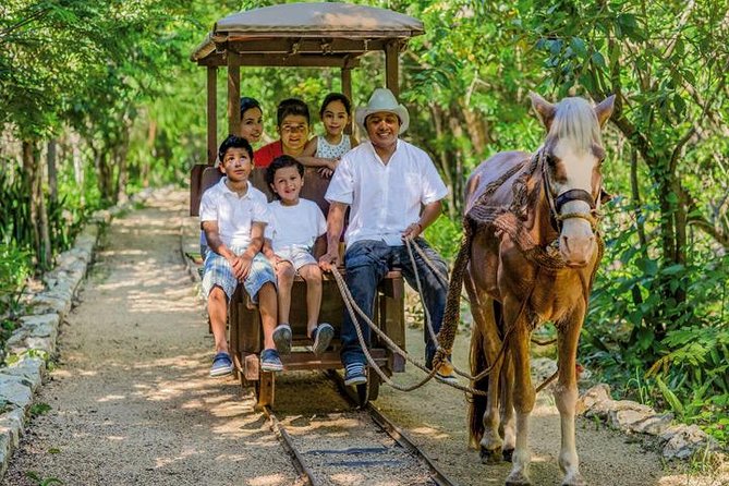 Private Tour: Tulum and Cave Adventure from Cancun - How the guides shape the experience