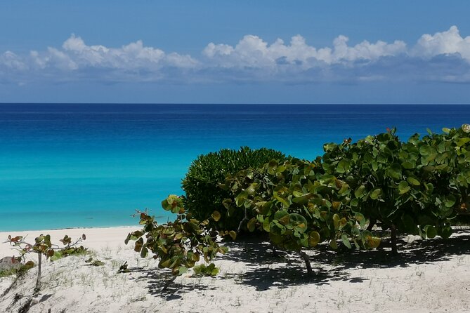 Private Transfer-Cancun Airport-Playa del Carmen One Way - What the 60 to 80 minutes are really worth