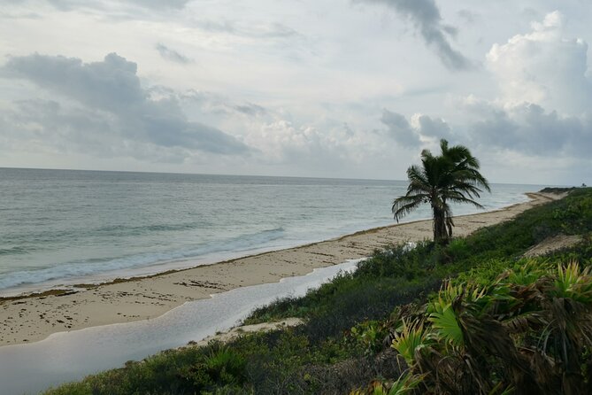 Private Transfer-Cancun Airport-Playa del Carmen One Way - Who will get the best value