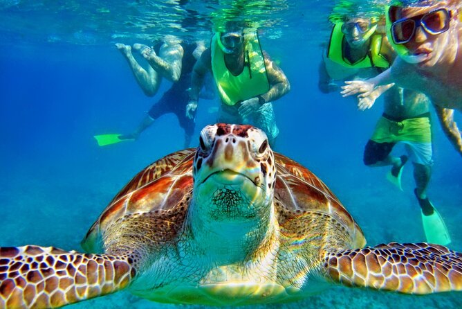 Private Tulum Mayan Ruins & Swimming with Turtles Experience - What the private vehicle changes