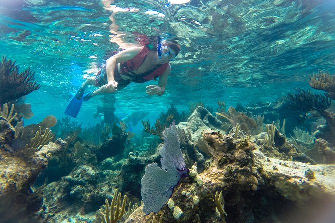 Private Tulum Ruins, Reef Snorkel & Cenote Adventure - Why this private Cancun day works so well