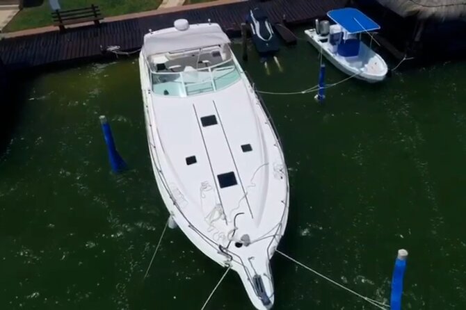 Private Yacht 46ft Sea Ray Snorkel up to 15 pax 23P2 - Food, drinks, music, and the party atmosphere