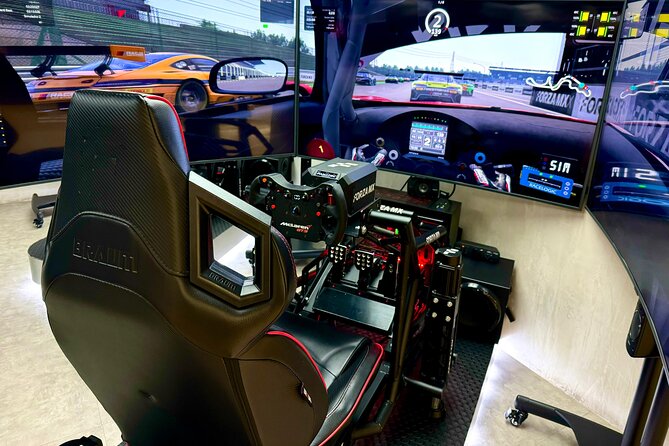 Professional racing simulator - Key points to know