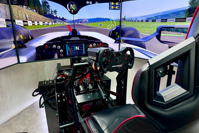 Professional racing simulator - A Formula-Style Race Before Your Flight