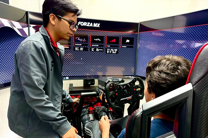 Professional racing simulator - The Motion Is the Main Attraction