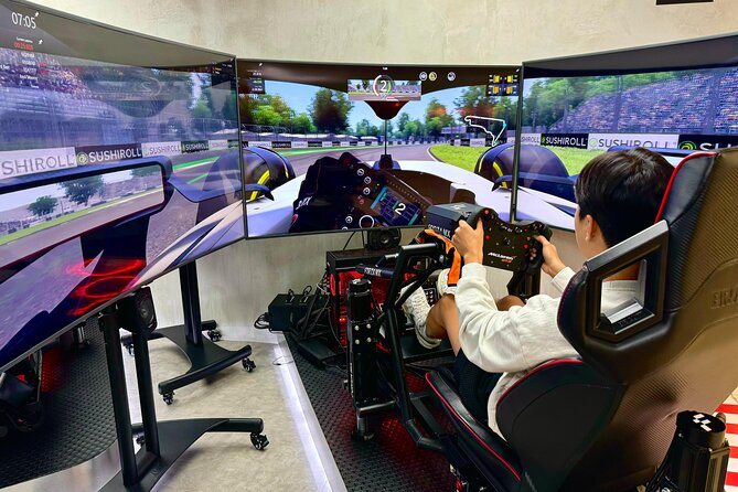 Professional racing simulator - Who Will Enjoy This Most?