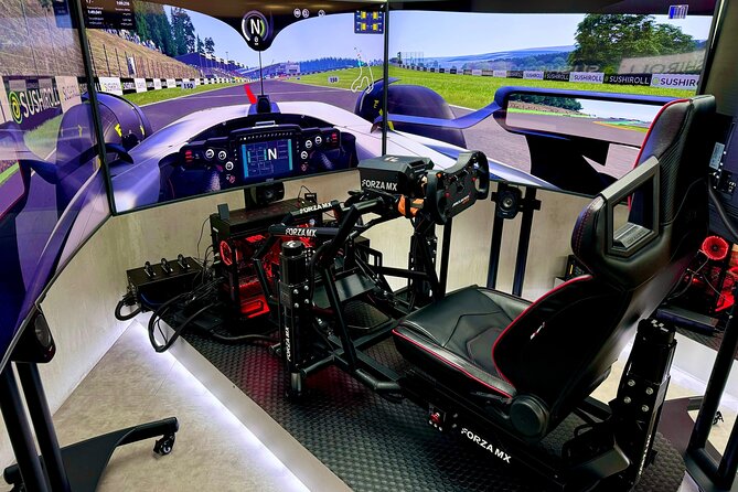 Professional racing simulator - Practical Details Before You Book