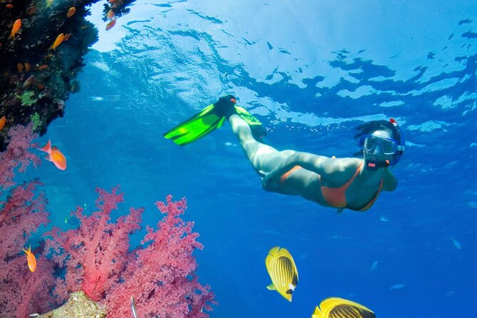 Puerto Morelos Catamaran Reef Sail and Snorkel - Why this Puerto Morelos outing works so well