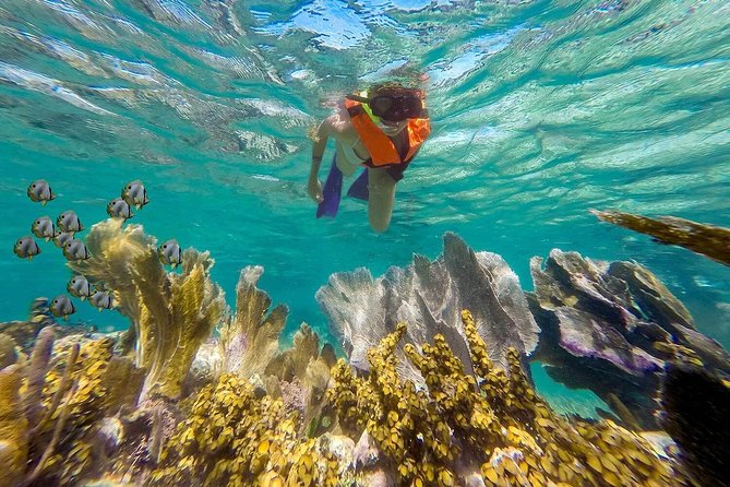 Puerto Morelos Reef Snorkeling Tour with Lunch & Hotel Pickup - The real value of the $47 price