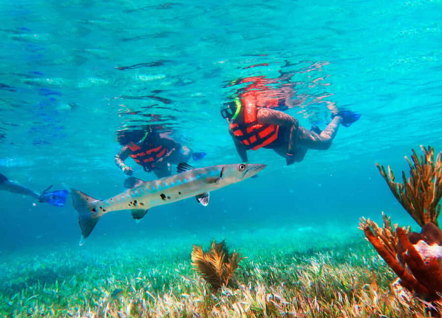 Puerto Morelos: Snorkel, Town Walk, Tequila & Beach Lunch - Key points to know before booking