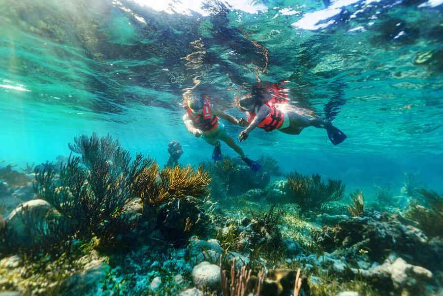 Puerto Morelos: Snorkel, Town Walk, Tequila & Beach Lunch - Tequila tasting and a taste of Mexico
