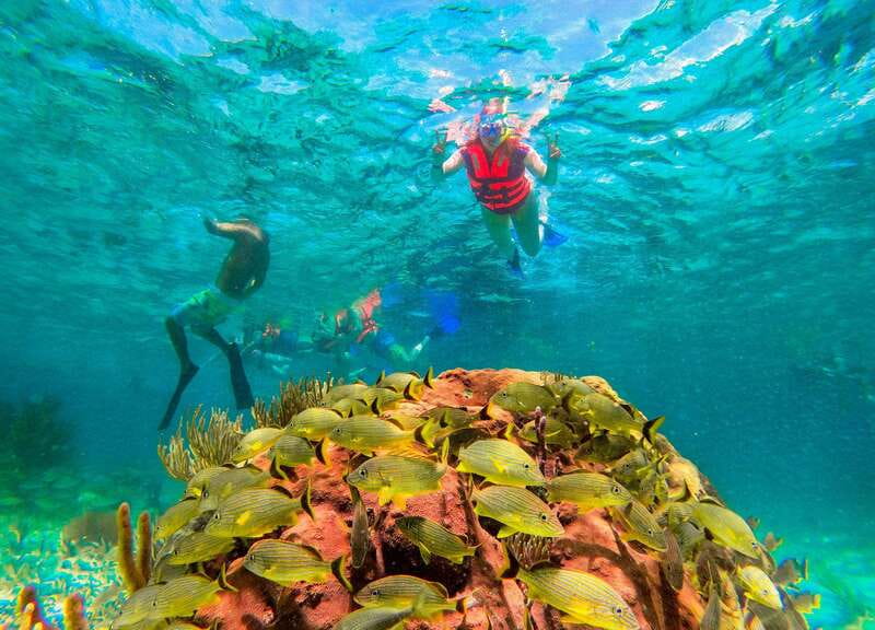 Puerto Morelos: Snorkel, Town Walk, Tequila & Beach Lunch - What the $39 price really covers