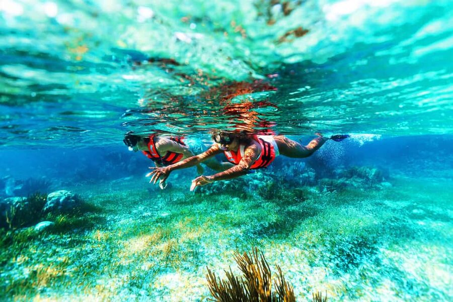 Puerto Morelos: Snorkel, Town Walk, Tequila & Beach Lunch - Should you book the Puerto Morelos snorkeling tour?