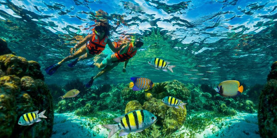 Puerto Morelos: Snorkel, Town Walk, Tequila & Beach Lunch - Snorkeling the Great Mayan Reef