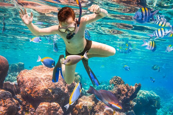 Puerto Morelos Snorkel, Town Walk, Tequila Tasting & Beach Lunch - Tequila tasting adds a short lesson to the afternoon