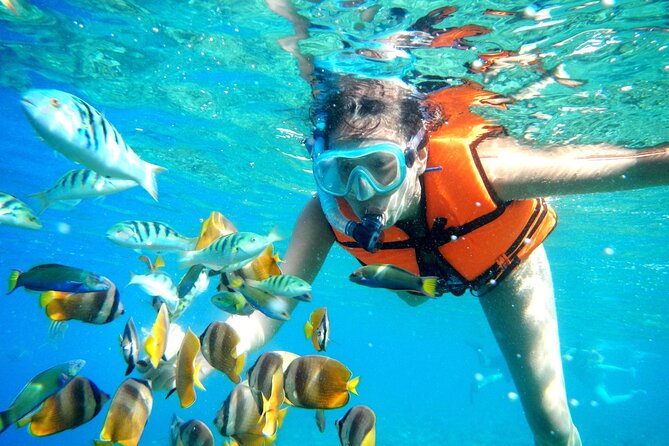 Puerto Morelos Snorkel, Town Walk, Tequila Tasting & Beach Lunch - Beach lunch is a welcome finish
