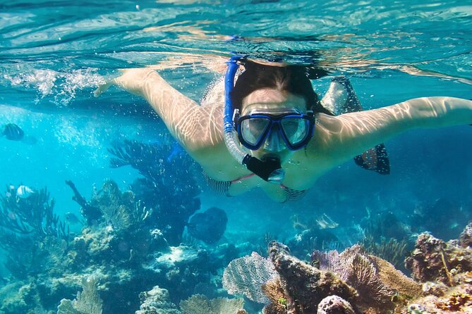 Puerto Morelos Snorkel, Town Walk, Tequila Tasting & Beach Lunch - What the $40.84 price really covers