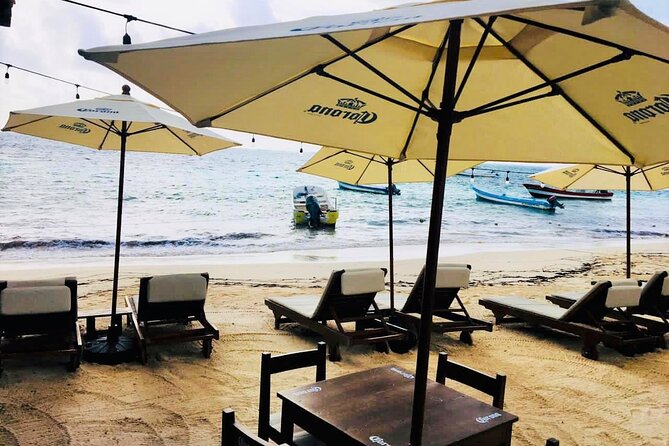 Puerto Morelos Snorkel, Town Walk, Tequila Tasting & Beach Lunch - Who will get the most from this tour