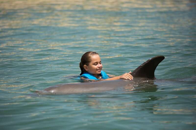 Punta Cancun: Swim with dolphins Interax - Key points at a glance